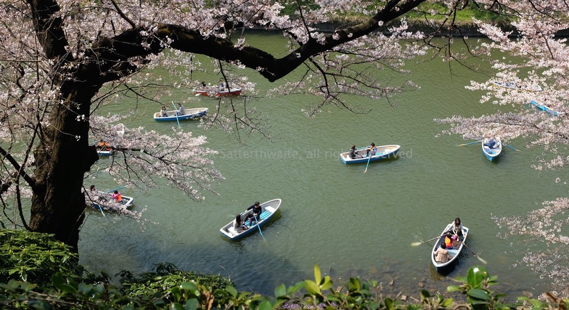 Boating in Kitanomaru Park, Tokyo