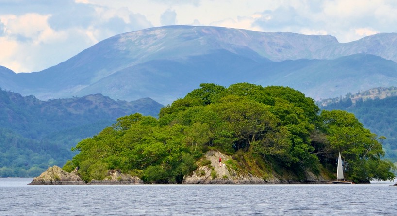 Wild Cat Island