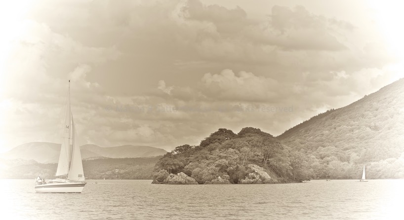 Wild Cat Island