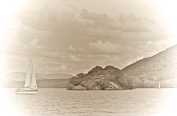 Wild Cat Island